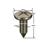 Clavo topográfico de acero (30 mm)