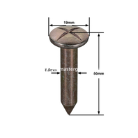 Clavo topográfico de acero (50 mm)